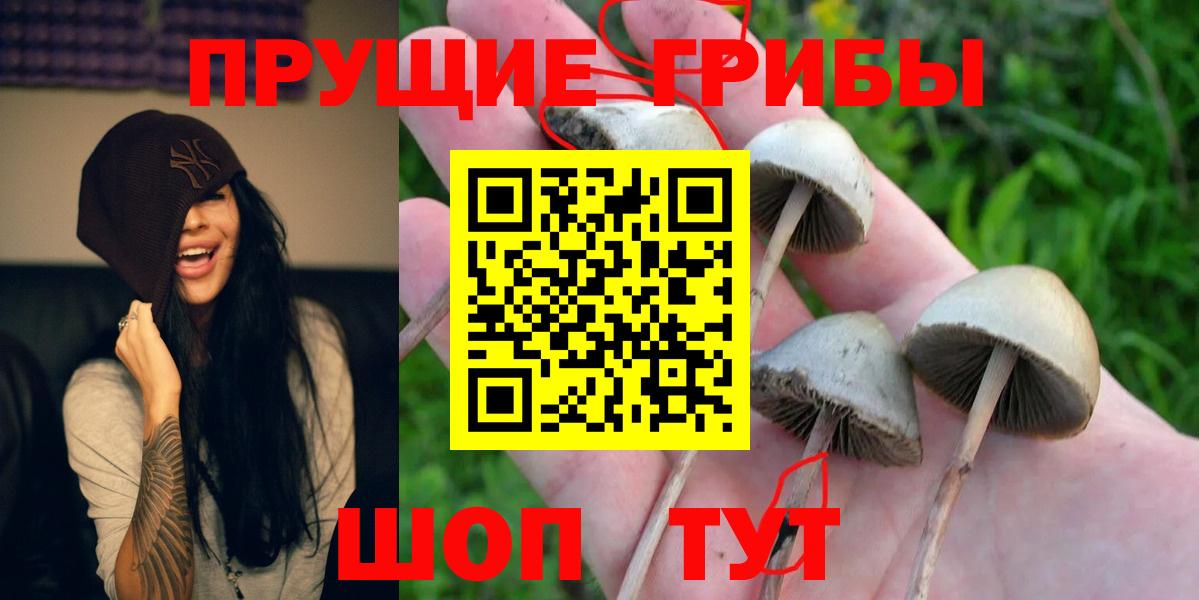 Псилоцибиновые грибы мухоморы  Вход с VPN  Кимры 